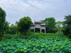 -西溪国家湿地公园