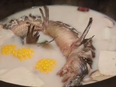 -鲜潭蒸汽石锅鱼(五道口购物中心店)