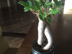 -外滩悦榕庄·海怡西餐厅