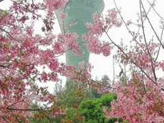 -狐尾山公园