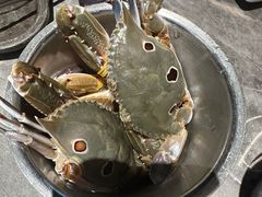-舟市水产蒸汽活海鲜自助(卓悦汇店)