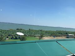 -七的湖·晚芳亭·阳澄湖农家菜·大闸蟹(莲花岛店)