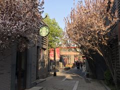-龙湖星悦荟(颐和店)