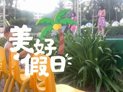 -渔家火锅·海鲜自助餐·演艺(亚龙湾天域酒店)