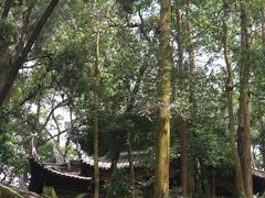-峨眉山报国寺