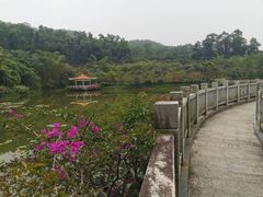 -大屏嶂森林公园