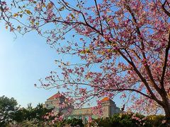 -花都广场
