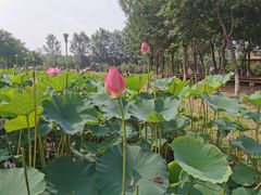 -东郊湿地公园