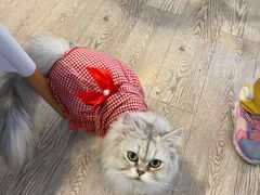 -小时光咖啡馆(北锣鼓巷店)