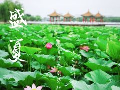 -长春市南湖公园