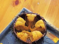 生海胆（紫胆大）-海胆小馆(东北水饺·春柳店)