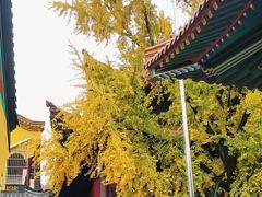-宝通禅寺