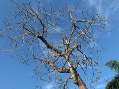 -三亚南山文化旅游区