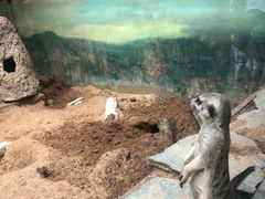 -昆明动物园