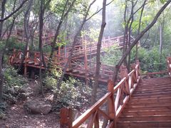 -大岭沟猕猴桃谷风景区