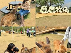 -盈香心动乐园