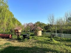 -溱湖国家湿地公园