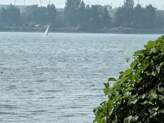 -丁香湖公园