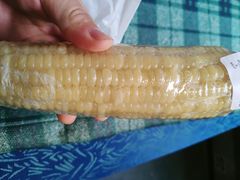 -衡阳站