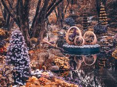 -上海共青森林公园