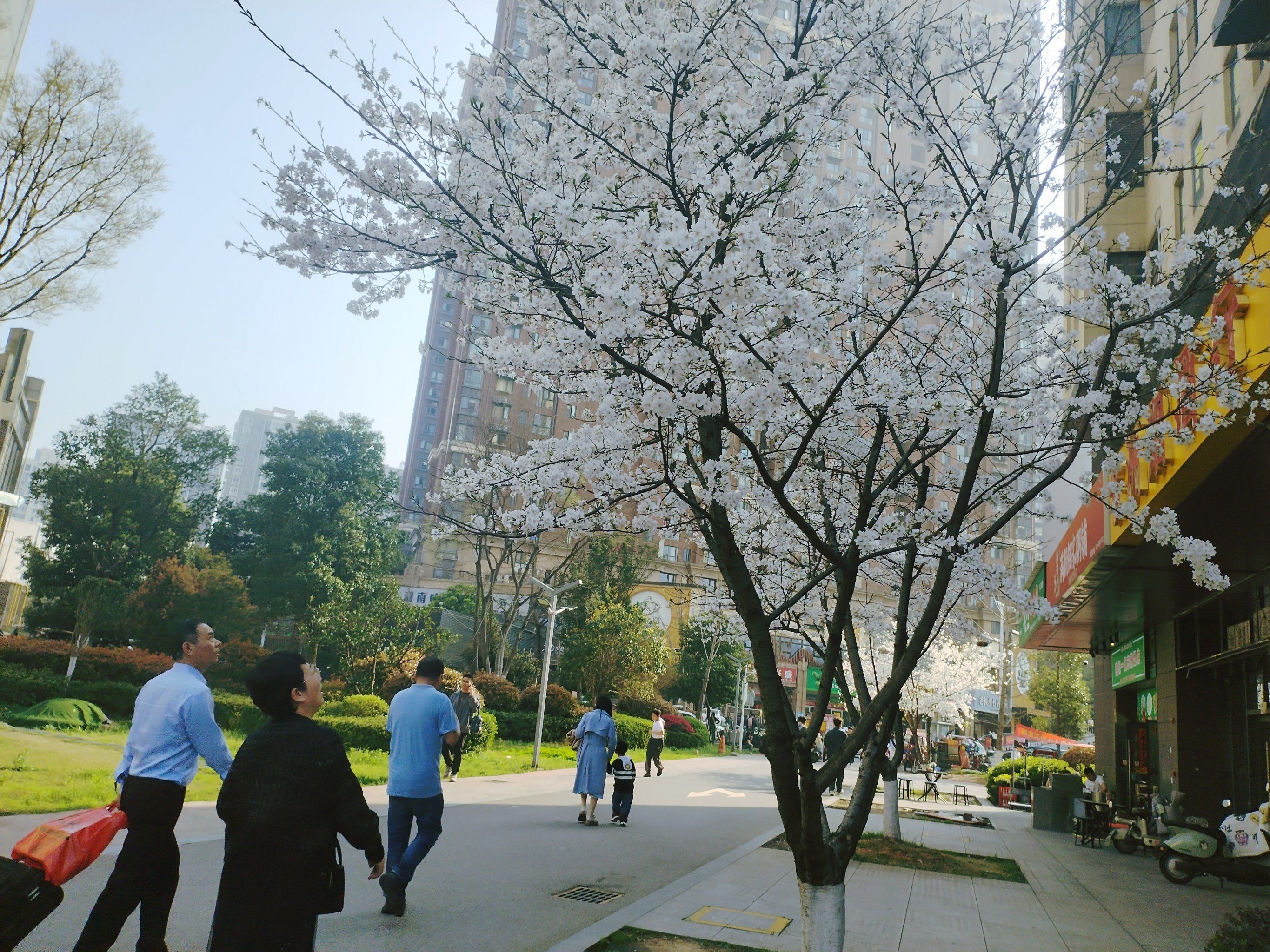 沙湾公园简直是雨花区爆款景点啊