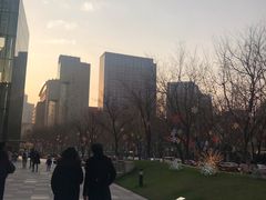 -上海波特曼丽思卡尔顿酒店