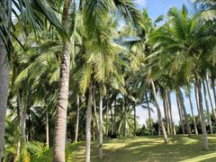 -大堂酒廊·亚龙湾万豪度假酒店