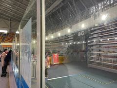 -松江大学城体育馆滑冰馆