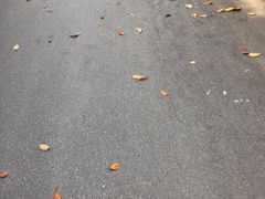 -火龙堂·风味民间菜(文一路店)