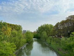 -昆山城市生态森林公园