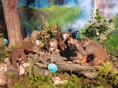 -湖南省地质博物馆