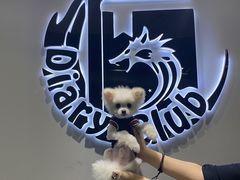 -Diary Club剧本&桌游狼人杀(湖东店)