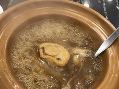 -大中鱼翅 Taitong Shark Fin