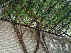 -上海孙中山故居纪念馆