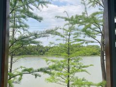 -昆山城市生态森林公园