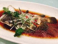 -骏莱海鲜鱼港(五角场店)