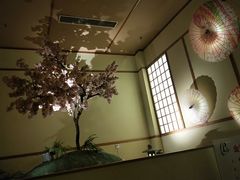 -汤泉良子(金源店)