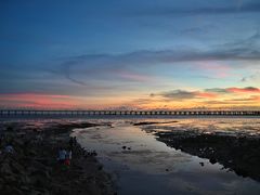 -宝安西湾红树林湿地公园