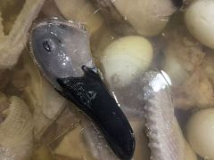-杨记新泉美食