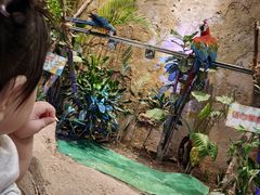 -杭州开元森泊度假乐园