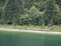 -武陵山森林公园