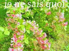 -郑州中国绿化博览园