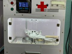 -明明手养鹦鹉(堤角花鸟宠物大世界店)