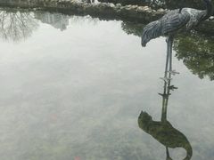 -苏州河梦清园环保主题公园