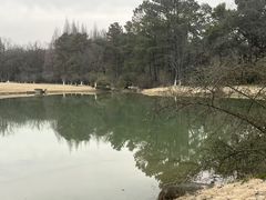 -杭州植物园