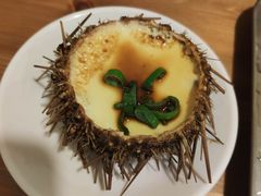 海胆蒸蛋-海胆小馆(春柳店)