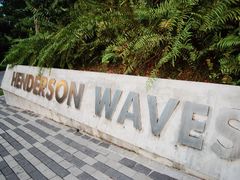 门面-亨德森波浪桥