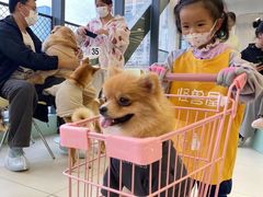 -怪兽屋·羊驼·猫咖·狗咖(俊华广场店)