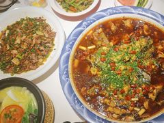 -新概念来凤鱼(璧山店)