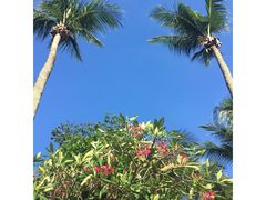 -巴拉湾海滩